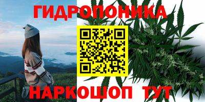 jwh Нальчик