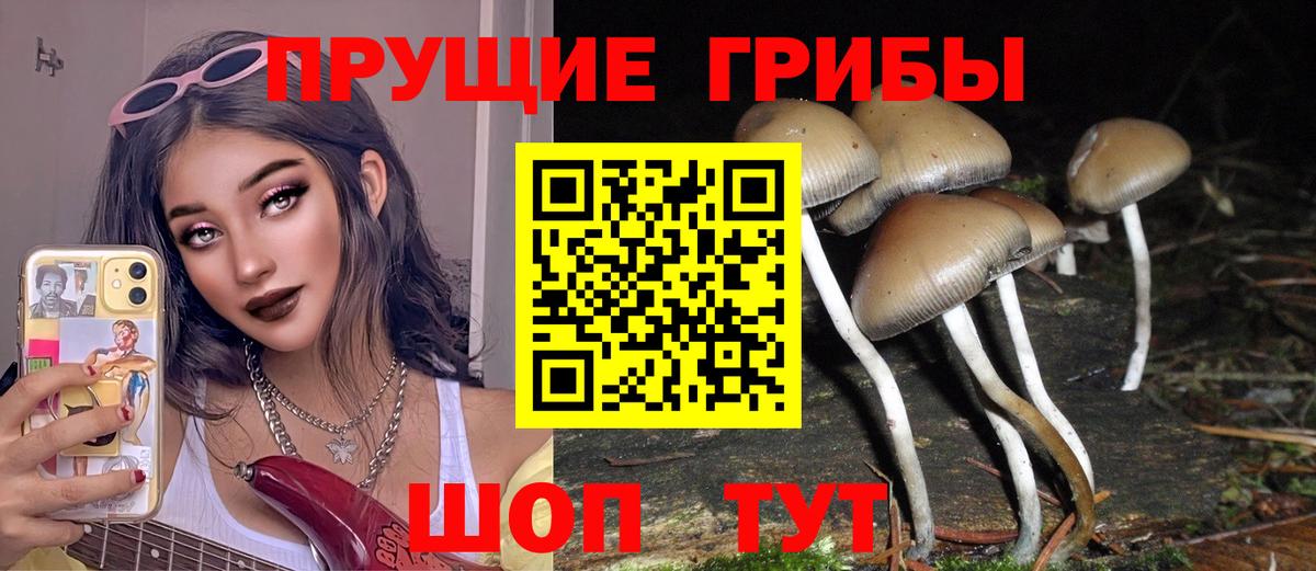 Самара  Галлюциногенные грибы Psilocybe  Вход с VPN 