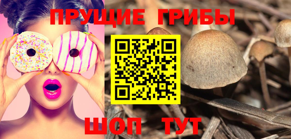 Псилоцибиновые грибы мицелий Самара
